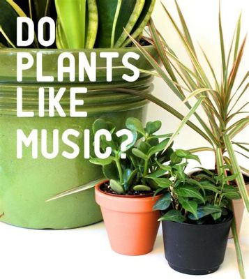 can music help plants grow? does it really make a difference?