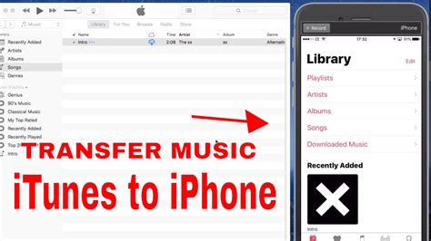 How to Download Music on iPhone Without iTunes: Exploring Alternative Routes for Your Auditory Pleasure