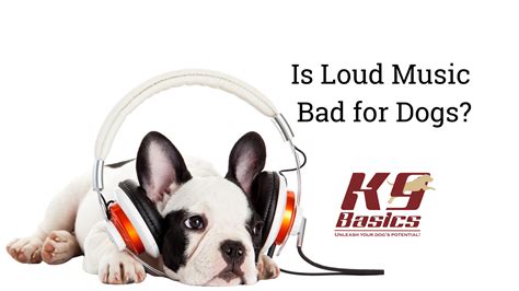 Is Loud Music Bad for Dogs? Discussing the Effects of Noise Pollution on Canine Health