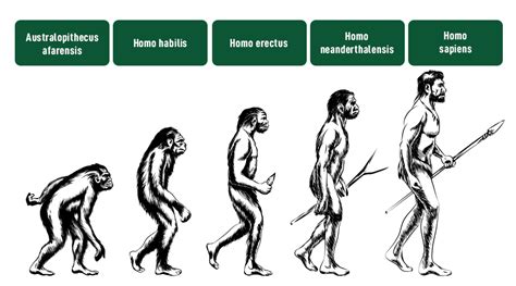 When Was the First Music Video Born and What Were the Initital Evolutionary Trends?